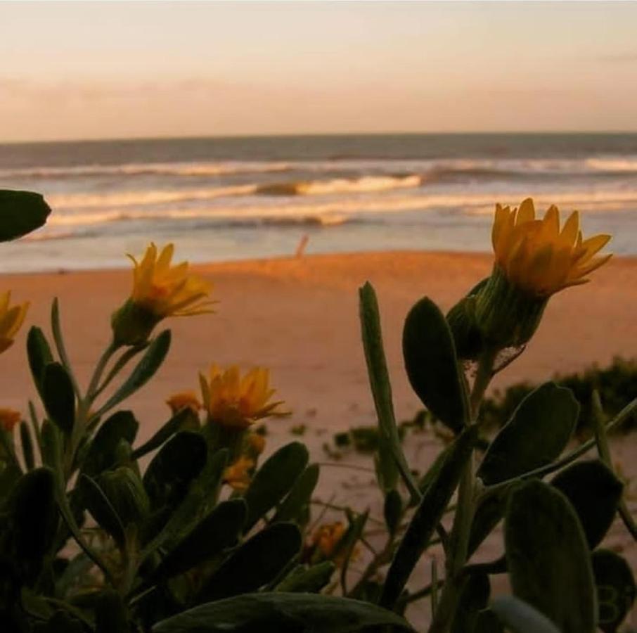 Florianópolis Pousada Villa Morena מראה חיצוני תמונה